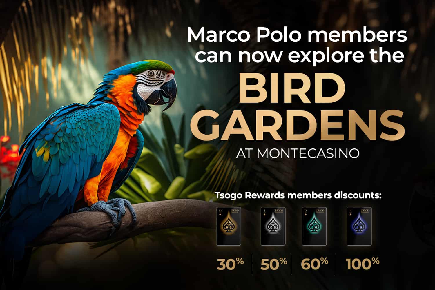 Bird-Gardens-Monte-Offers